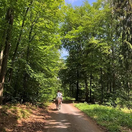 Gemutliche Auszeit Auf Dem Drei-bruder-hof - Max Hotel