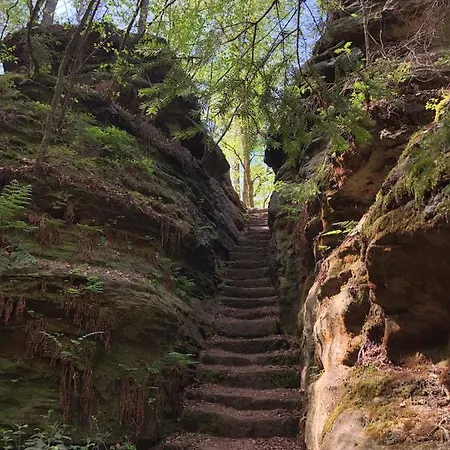 Gemutliche Auszeit Auf Dem Drei-bruder-hof - Max Hotel Rosenthal (Saxony)