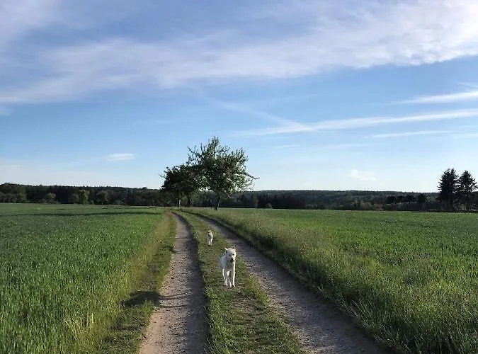 Gemutliche Auszeit Auf Dem Drei-bruder-hof - Max