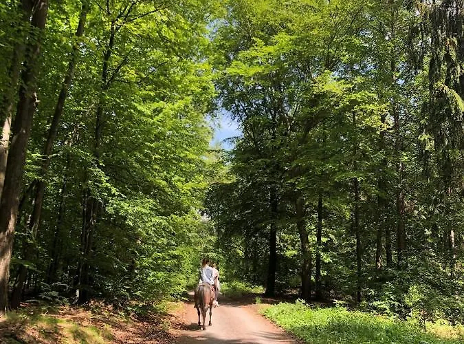 Gemutliche Auszeit Auf Dem Drei-bruder-hof - Max Hotel